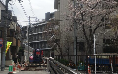 現場風景-1　桜を望む